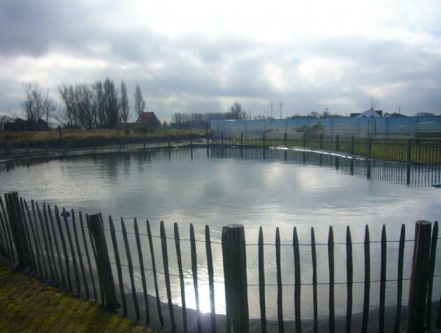Zee En Polder Nummer 16 Middelkerke Ngoại thất bức ảnh